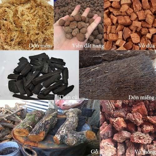 Các loại giá thể phổ biến và tốt nhất cho việc trồng phong lan