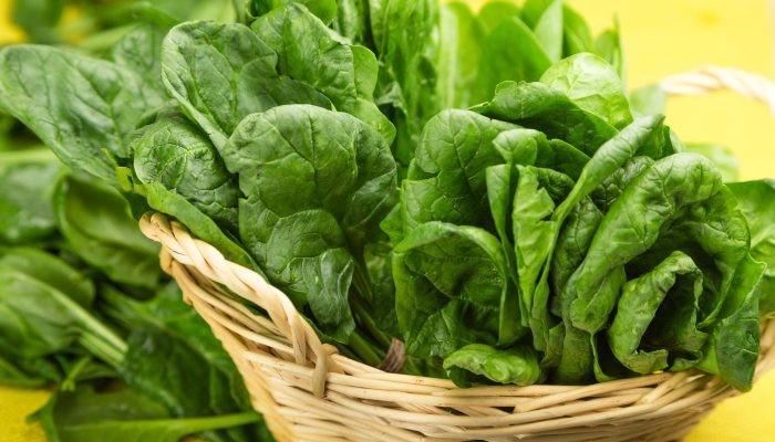 Các giống cải bó xôi lá xoăn và lá phẳng