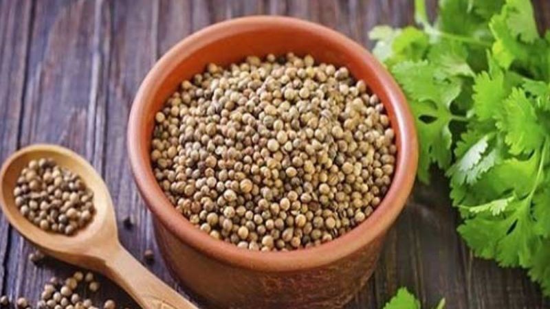 Hạt giống ngò rí để gieo trồng