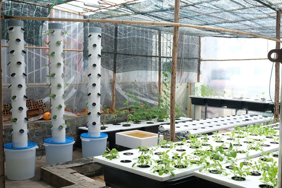 Tổng quan hệ thống trụ trồng rau thủy canh tại nhà
