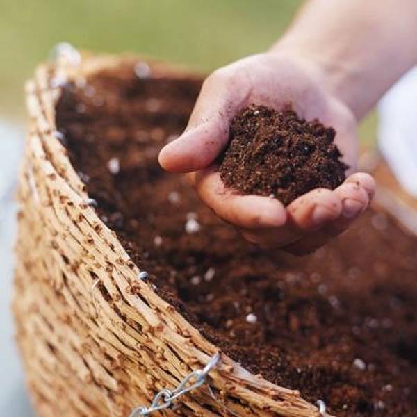 Hỗn hợp đất tơi xốp và các thành phần dùng trồng hoa thu hải đường