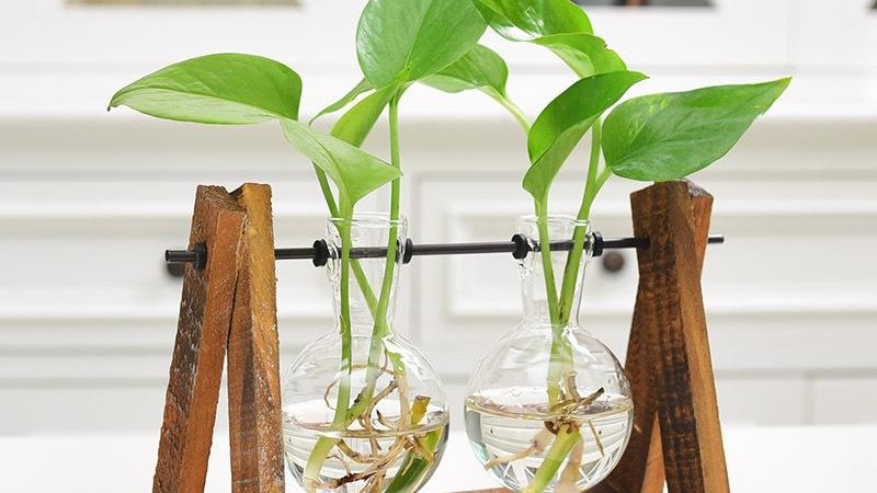 Nội thất phòng ngủ gỗ tự nhiên cho người mệnh Mộc