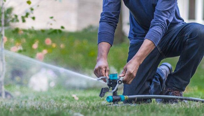 Chăm sóc đậu ván - Tưới nước và bón phân cho cây