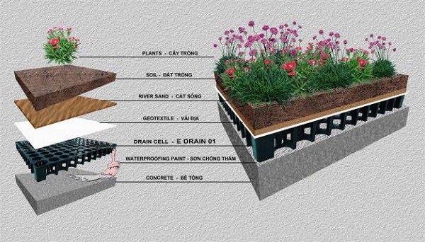 Hướng dẫn chi tiết cách trồng hoa vào bồn đúng kỹ thuật