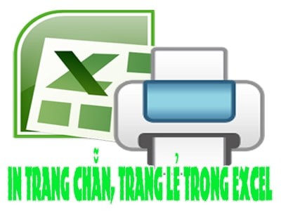 Giao diện in ấn trong Excel 2003 minh họa các tùy chọn in cơ bản