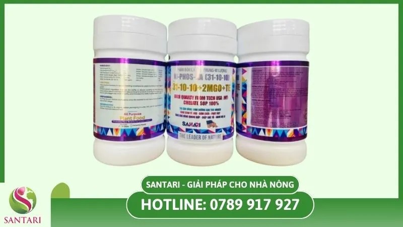 Bón phân NPK cho cây cải Kale con