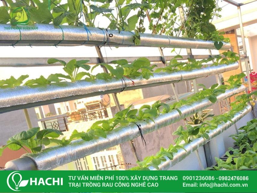 Các hàng ống nhựa PVC của giàn thủy canh đang được kết nối