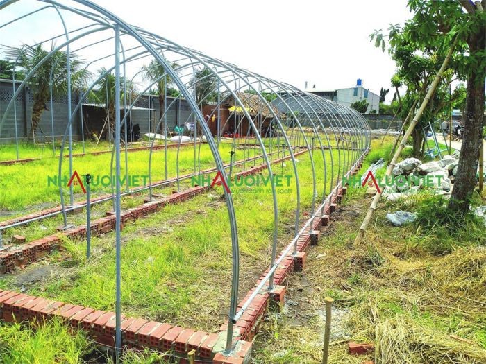 Dựng khung sắt mái vòm cho nhà kính trồng dâu tây