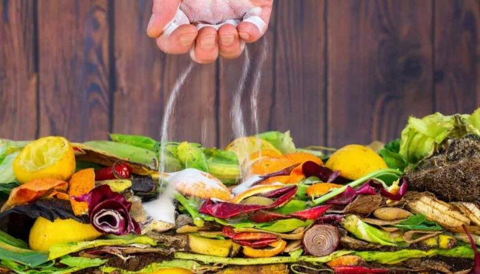 Chia sẻ kinh nghiệm ủ rác thải nhà bếp thành công