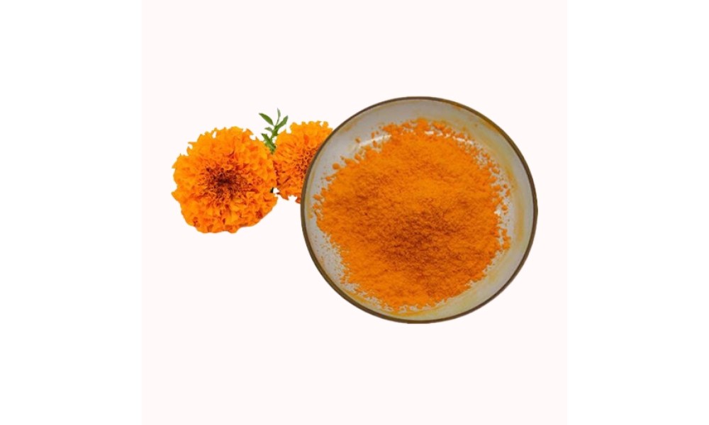 Hoa cúc vạn thọ, nguồn chứa lutein tốt cho thị giác