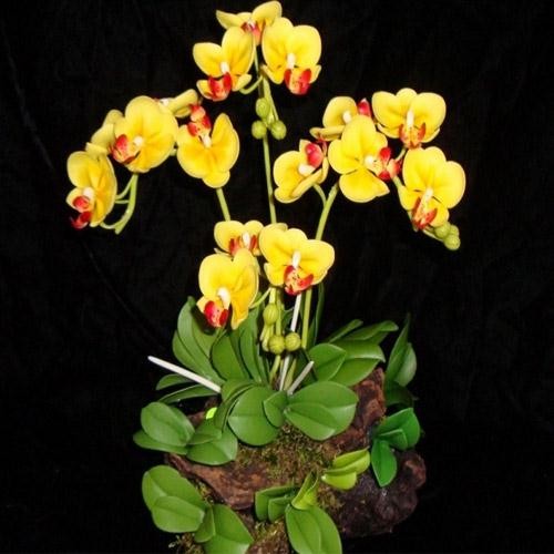 Trồng hoa chậu treo để bán