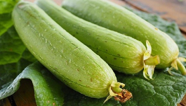 Lợi ích khi trồng mướp hương tại nhà mang lại rau sạch