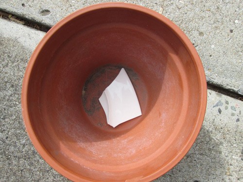 Lót mảnh gốm vỡ dưới đáy chậu