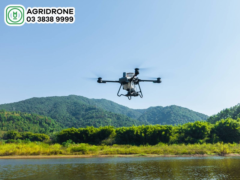 Giải pháp phun xịt hiện đại cho cây cà phê