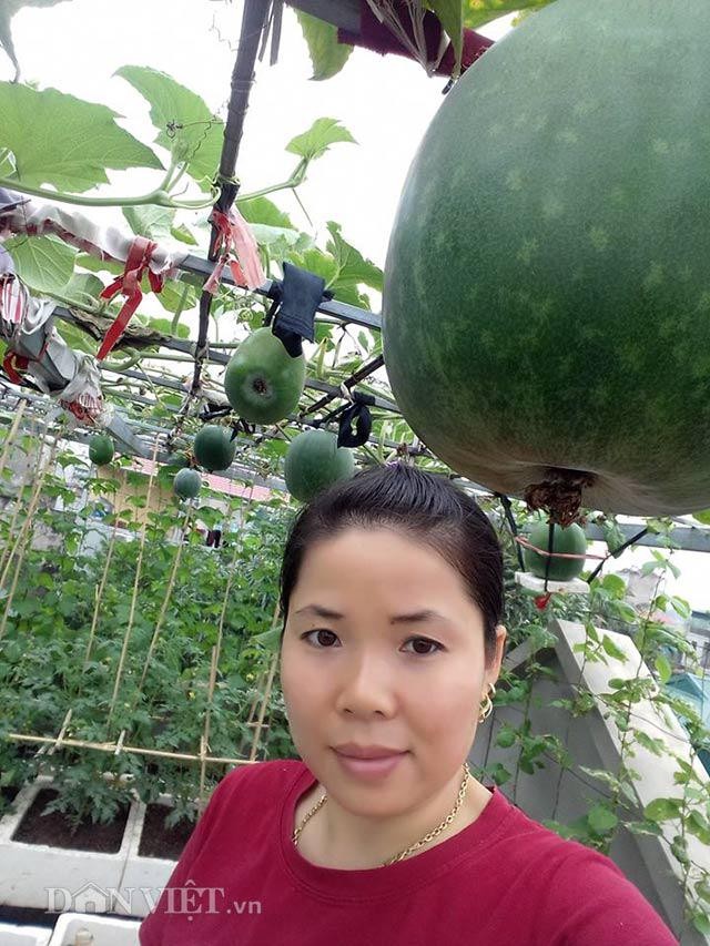 Hướng dẫn thụ phấn thủ công cho hoa bí dưa hấu để đậu quả