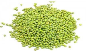 Khay rau mầm giá đỗ đang phát triển