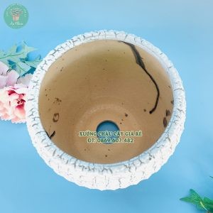 Chậu sứ trồng cây trong nhà mẫu dưa xanh cao cấp