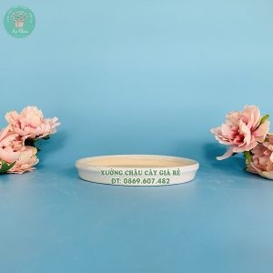 Đĩa sứ màu trắng lót chậu với nhiều kích cỡ, hỗ trợ thoát nước