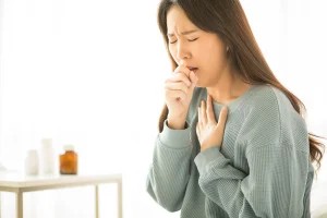 Quả tắc vàng tươi và lá xanh trên cành