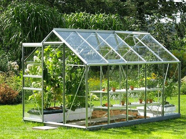 Thiết kế nhà kính trồng rau mini tích hợp trong khu vườn gia đình