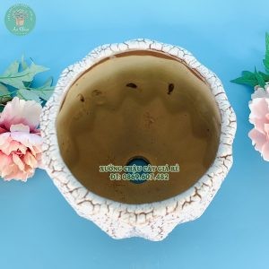 Chậu sứ trồng cây màu kim cương vân đá đỏ nổi bật