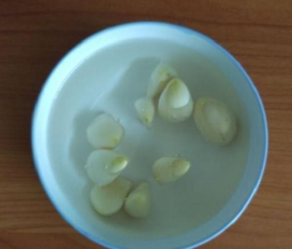 Nhiều phần đáy chai nhựa được cắt sẵn
