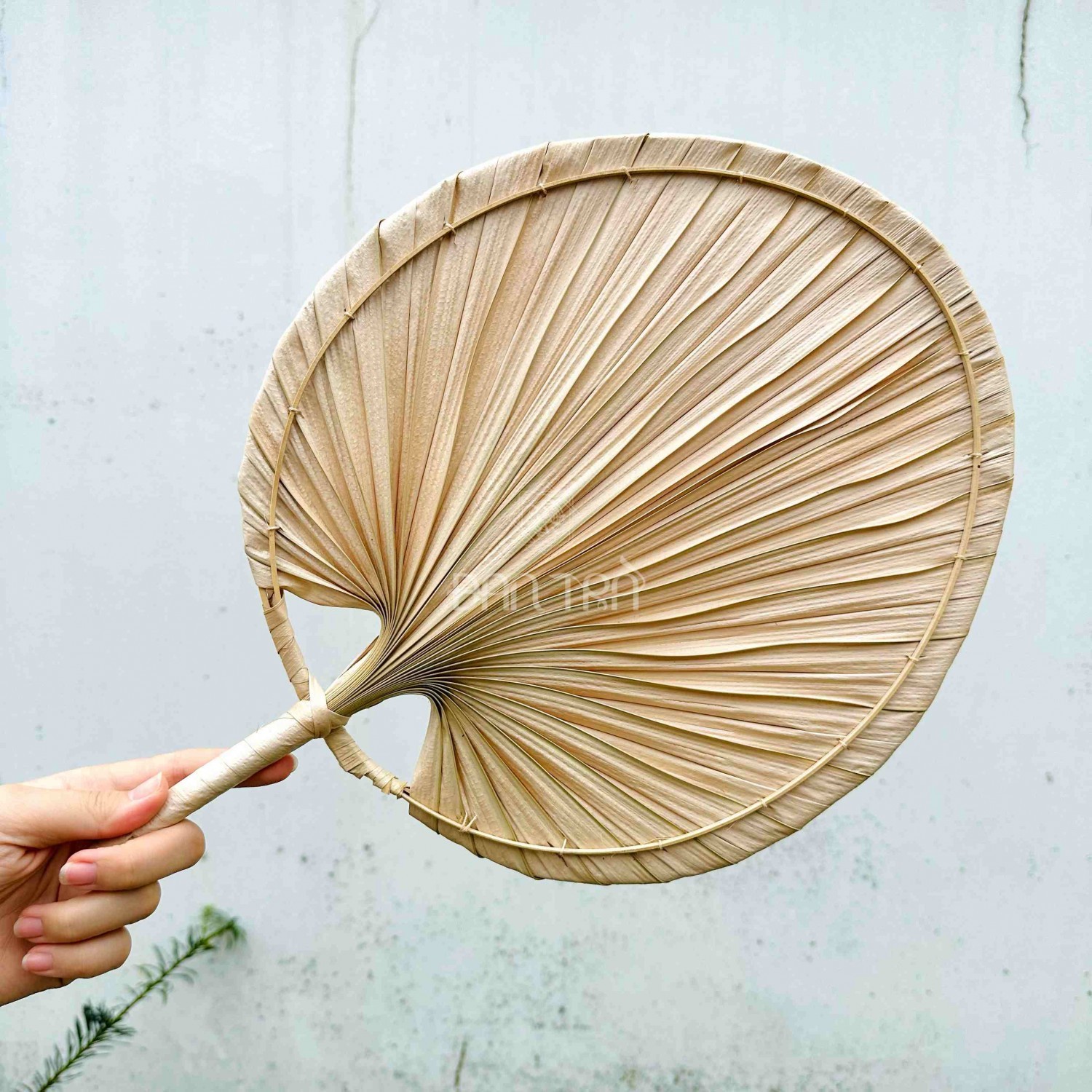 Quạt lá buông tự nhiên trang trí tường phòng ngủ Boho