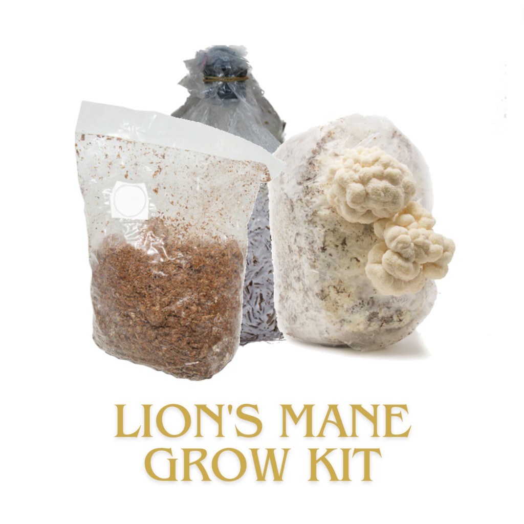 Combo Grow Kit nấm hầu thủ với các mức độ khó khác nhau