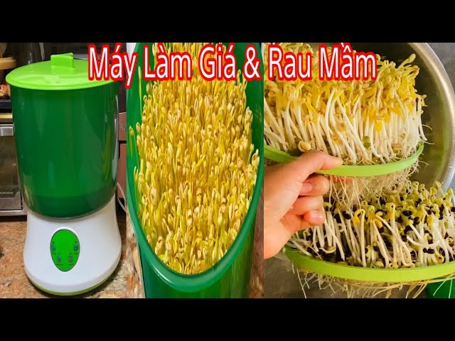 Thiết bị máy trồng rau mầm tự động