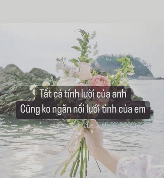 stt-hay-tha-thinh6