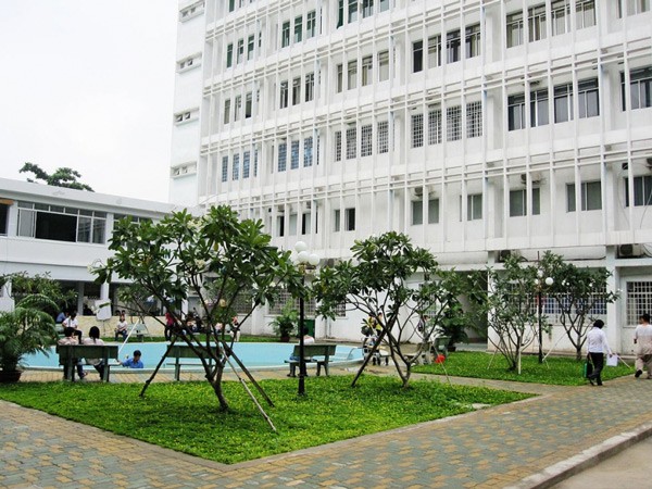 Trồng cây sứ đại hoa trắng tại khuôn viên bệnh viện