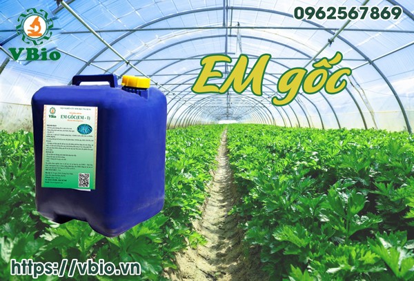 Hướng dẫn sử dụng chế phẩm sinh học EM1 để ủ phân hữu cơ