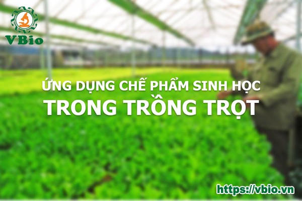 Lợi ích của chế phẩm sinh học mang lại trong canh tác nông nghiệp