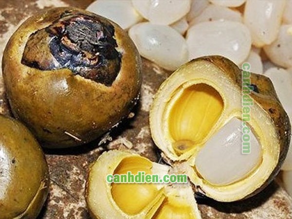 Hạt đác chứa nhiều dinh dưỡng tốt cho sức khỏe