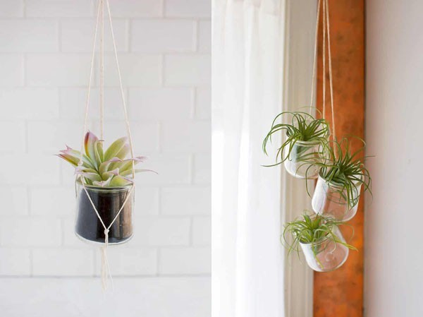 Chậu trồng cây treo làm từ lọ thủy tinh và dây thừng thắt nút