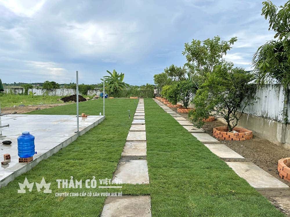 Mặt bằng cát san lấp giúp thảm cỏ Paspalum phẳng mịn