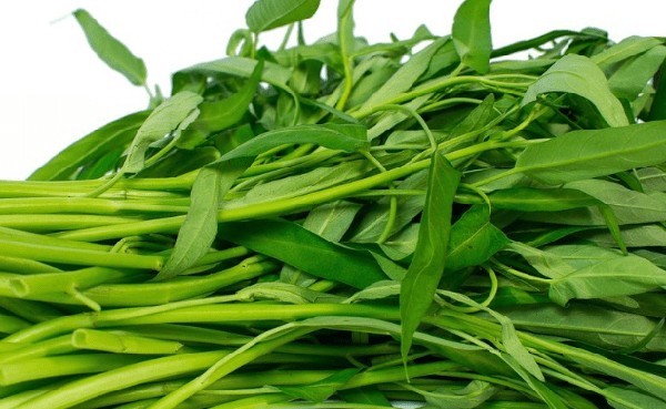 Thu hoạch rau muống