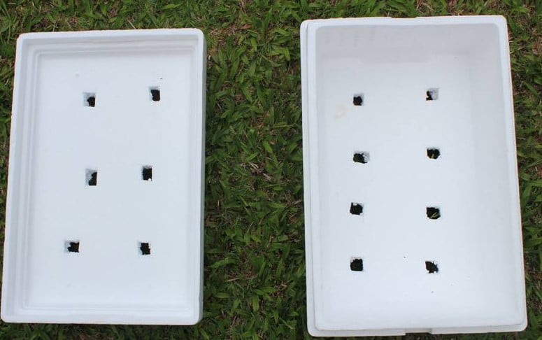 Chuẩn bị thùng xốp có lỗ thoát nước để trồng rau xà lách
