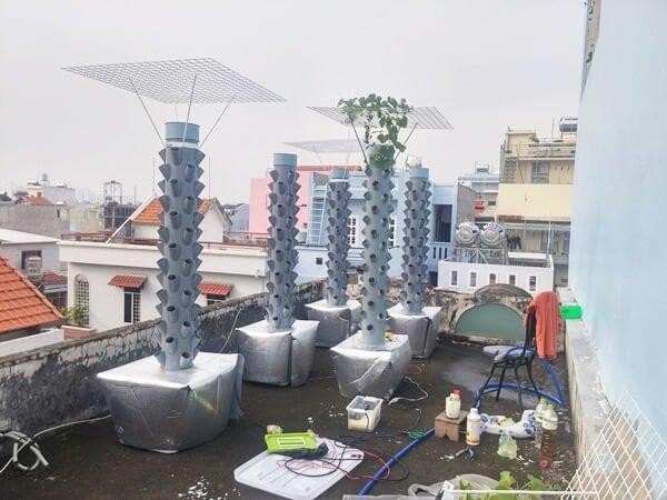 Trụ trồng rau thủy canh đứng tại nhà