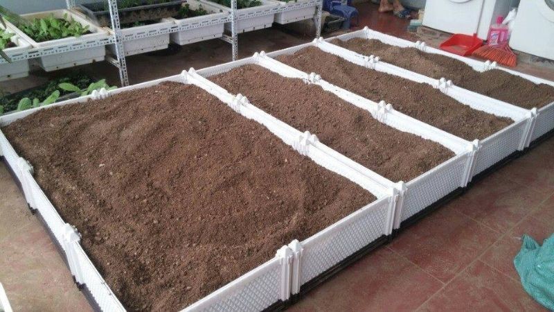 Các loại đất và giá thể thường dùng để trồng rau sân thượng