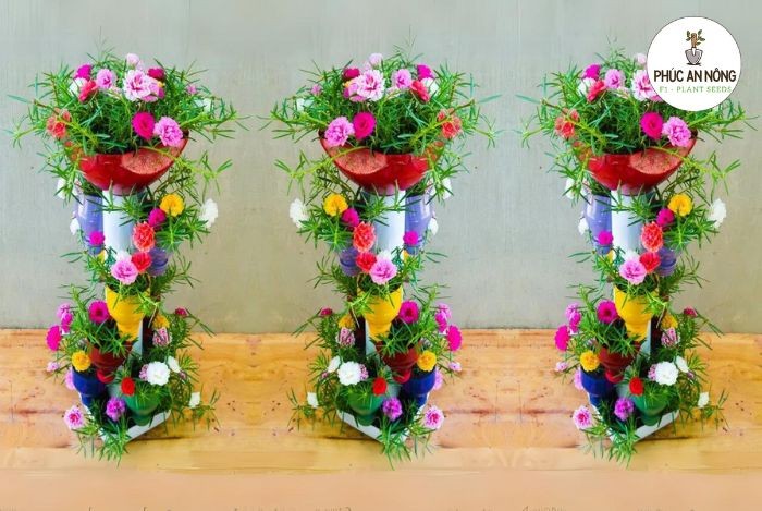 Tháp bông hoa mười giờ rủ xuống tạo nên vẻ đẹp bắt mắt