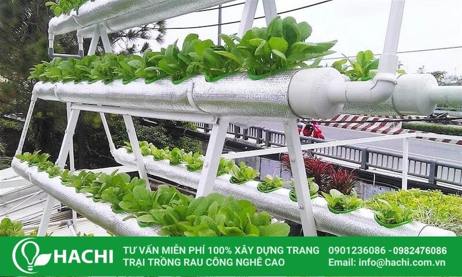 Bộ giàn thủy canh bán chữ A
