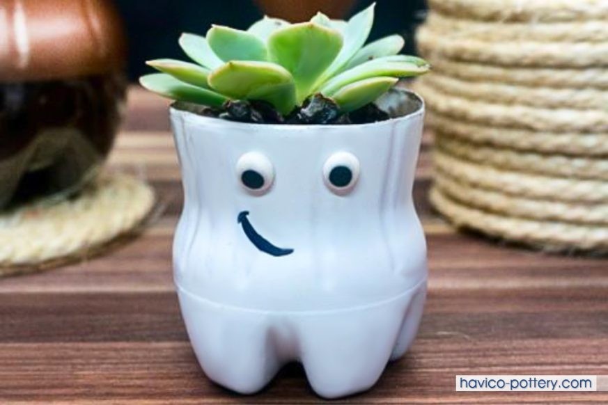 Cách làm chậu trồng sen đá từ chai nhựa