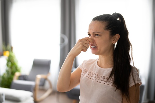 Lọ khuếch tán tinh dầu giúp loại bỏ mùi hôi trong phòng ngủ