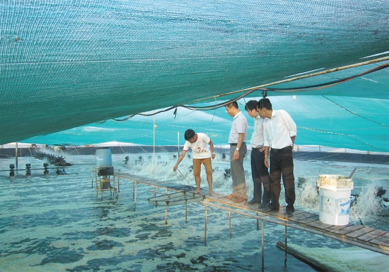 Ứng dụng công nghệ trong dự án nuôi trồng thủy sản