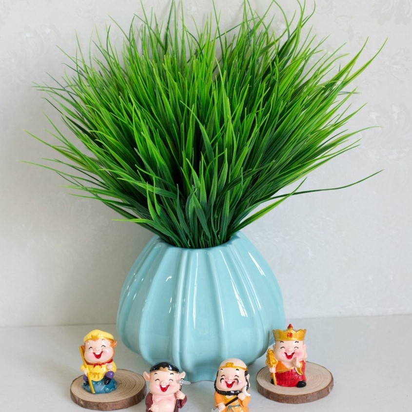 Ảnh quả mạ non chín mọng