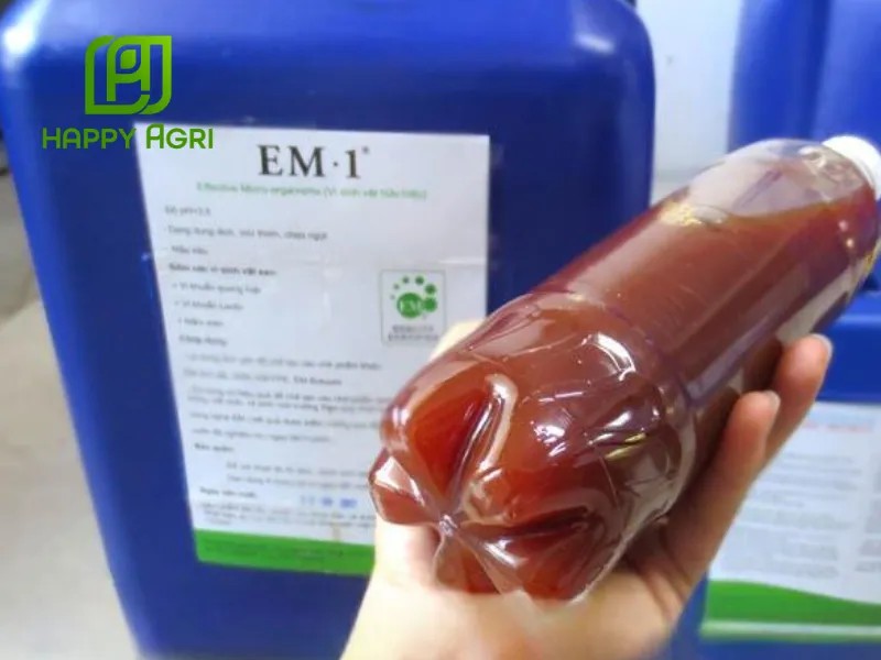 Hình ảnh minh họa cách pha chế chế phẩm EM thứ cấp từ EM gốc cho trồng trọt