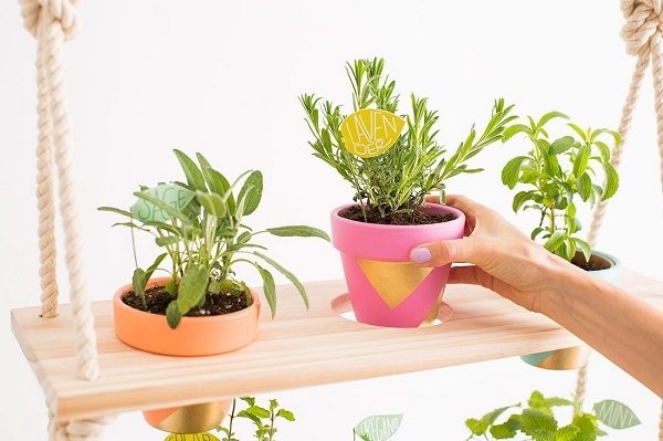 Hoàn thiện kệ trồng hoa bằng cách đặt các chậu cây đã chuẩn bị lên tầng
