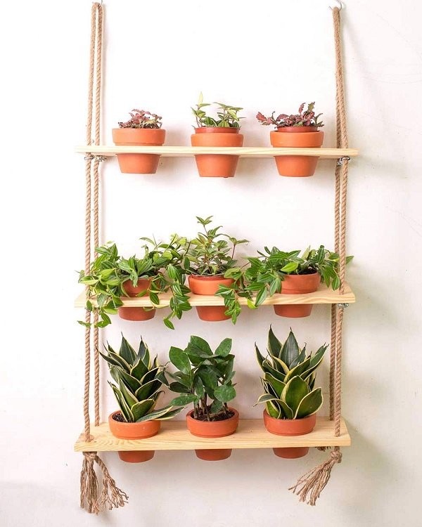 Một số mẫu kệ trồng hoa treo bằng gỗ đơn giản đã hoàn thành để trang trí nhà cửa