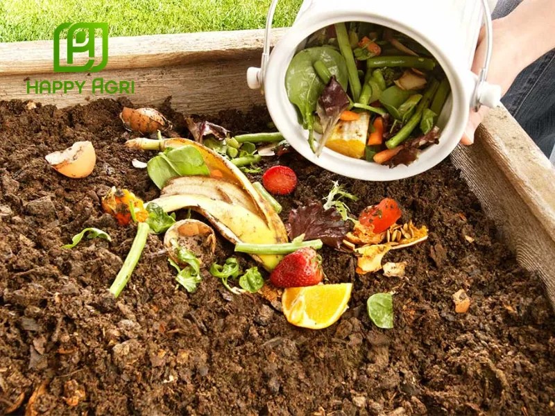Quy trình xử lý và ủ phân hữu cơ từ phân chuồng bằng chế phẩm EM gốc